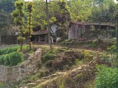 -凤栖山