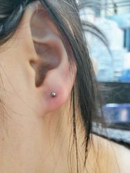 -众刺纹画·纹身·穿孔饰品·海娜定制