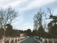 -碓臼峪自然风景区