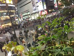 -涩谷全向十字路口