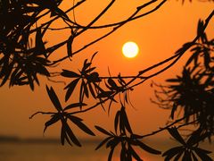 -吴淞炮台湾湿地森林公园烧烤区