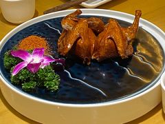 -大鸽饭(马王堆店)