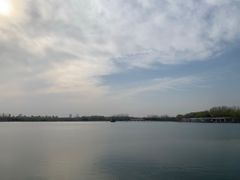 -大兴滨河森林公园