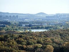 -灵谷景区