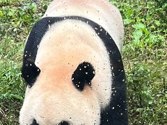 -黔灵山公园