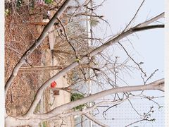 -大自然农场蔬菜草莓采摘园