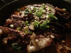 -Hi City·城市之巅