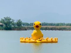 -野鸭湖国家湿地公园