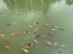 -淮安市博物馆