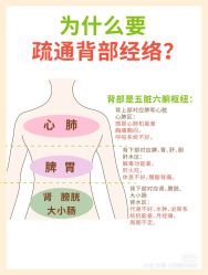 点击看大图 -玛莲朵·海菲秀冰珀科