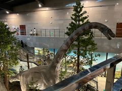 -湖南省地质博物馆