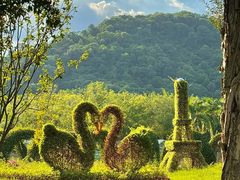 -东南花都花博园