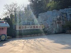 -东方熊牧场