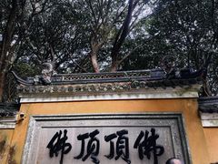 -普陀山风景区-佛顶山