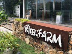 -田园东方蜜桃村的田野营地