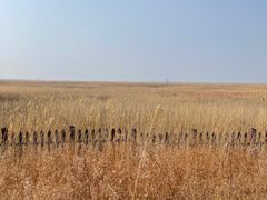 -野鸭湖国家湿地公园