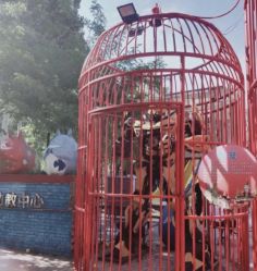 -萌宠亲子动物乐园(槐房万达店)