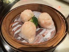 誉八仙虾饺-誉八仙粤菜(万象天地店)