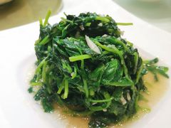 蒜蓉豆苗-金时代顺风大酒店(临港百联店)