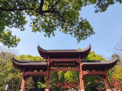 -杭州半山国家森林公园