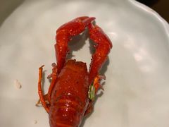 -小田油焖小龙虾(双井店)