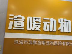 -渲嗳动物医院(异宠·复杂内科转诊中心·玖洲道富华里分院)
