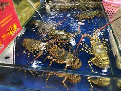-东江海鲜酒家(艺都分店)