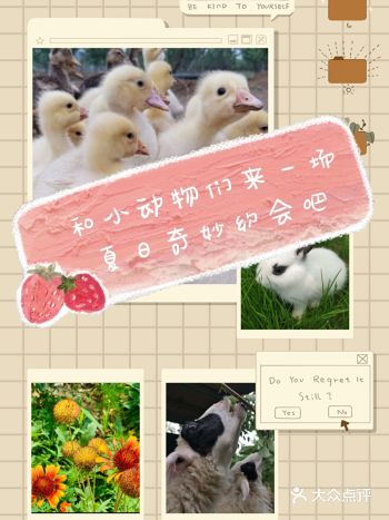 夏日遛娃|来北京和小动物来一场奇妙约会吧