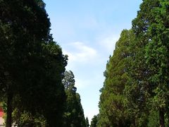-东华门大街小区