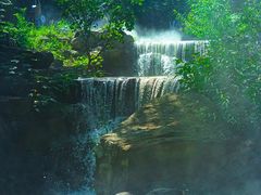 -北京西山国家森林公园