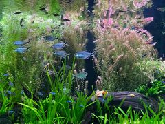 -上海海洋水族馆