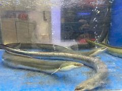 -隆聚·时令海鲜(洪兴店)