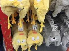 -迪卡侬(观山店)