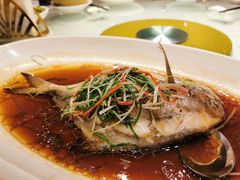 -老吉士酒家(天平路店)