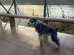 -千年银杏谷文化旅游区