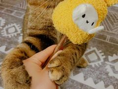 -成都世纪城新国际会展中心