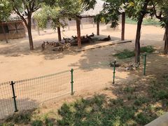 -石家庄市动物园