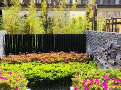 -上海崇明金茂凯悦酒店