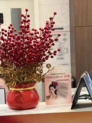 -上海玫瑰医疗美容医院