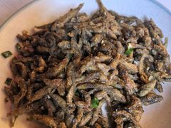 美极山坑鱼仔-强记大排档