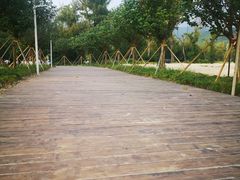 -西涌国际滨海旅游区