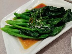 -新南华大酒店(长寿店)