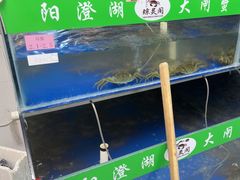 -阳澄湖大闸蟹·琼灵阁牌品牌连锁(吴中总店)