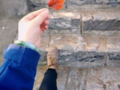 -阳台山自然风景区