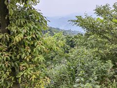 -雅安上里古镇