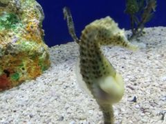 -水上乐园·欢乐世界