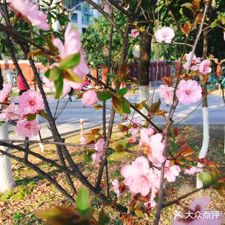 选一种姿态，让自己活得无可替代