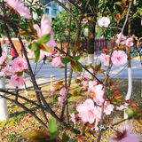 选一种姿态，让自己活得无可替代