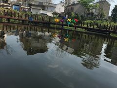 -陶辛水韵