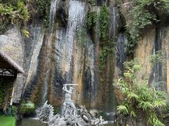 -西双版纳原始森林公园